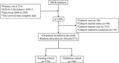 Disease characteristics and clinical specific survival prediction of spinal ependymoma: a genetic and population-based study
